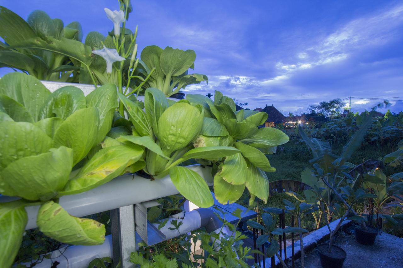 Vinayaka Ubud Exteriör bild