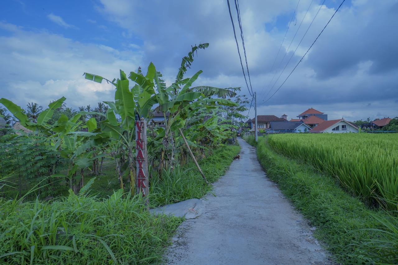 Vinayaka Ubud Exteriör bild