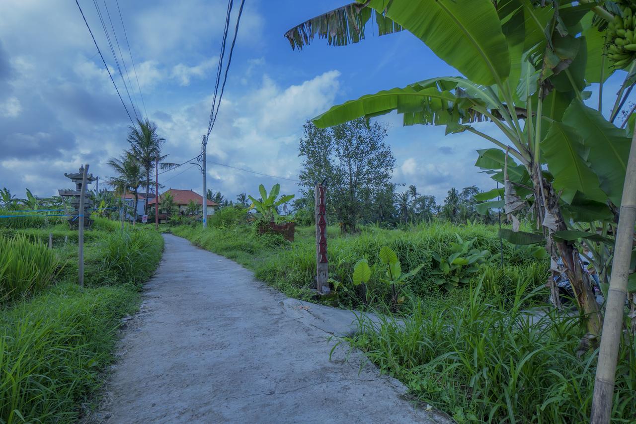 Vinayaka Ubud Exteriör bild