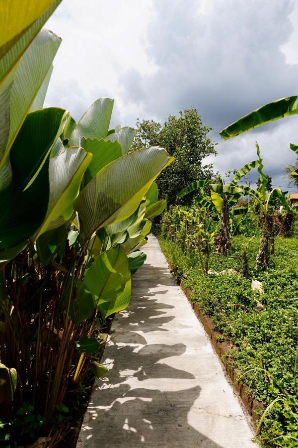 Vinayaka Ubud Exteriör bild